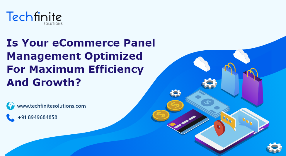 Is Your eCommerce Panel Management Optimized For Maximum Efficiency And Growth?